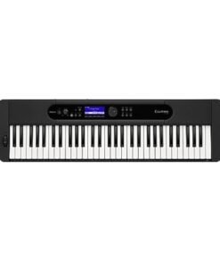 Casio Casiotone CT-S400 Touch Sensitive 61-Key Portable Keyboard with 600 Tones, 200 Rhythms, LCD Display, 5-Track Recorder, USB, Stereo Speakers, Aux In, Headphone Out, AC Adapter, Black (CT-S400)