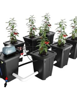 RDWC Hydroponics Grow System 6 Site + Reservoir, 7-Gallon Top Drip Recirculating Deep Water Culture Hydroponic Bucket System, Hydroponics Growing System Kit with Water Pump, Air Pump