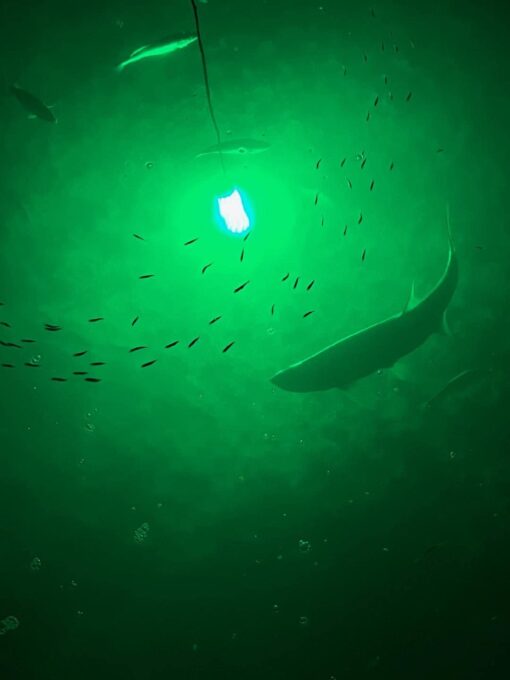 Green Blob Outdoors High Power 15000 Lumens New Fishing Underwater Light 12V with extra long 50ft Cord QD Alligator Clips & Cigarette Lighter Adapters included LED Fish Attractor, Made in Texas (50ft) - Image 3