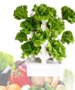 QZQHNYJ Hydroponics Growing System Kit, 16/24/32-Holes PVC-U Pipes Vertical Tower Hydroponic Gardening System Grow Kit with Water Pump, for Leafy Vegetables,16holes