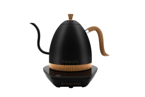 Brewista Artisan Electric Gooseneck Kettle, Water Boiler with LCD Panel, Precise Temperature Control, Fast Boiling and Keep Warm Settings for Pour-Over Coffee & Tea, Café, 1 Liter (Matte Black)