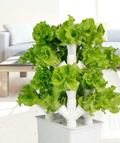 BEESOM Garden Hydroponic Growing System Vertical Tower, 2/3/4 Columns Hydroponic Growing Kit, Vegetable Plant Tower Gift for Gardening Lover - Home Grow Lettuce,Herbs,Veggies & Fruit,16Holes