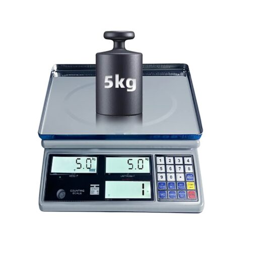 JAJKAFCL 0.1g High-Precision Electronic Scale Industrial Counting Weighing LCD Display Tare Function Platform Scale for Fruits Veggi Scale Weighing Balance(6kg/0.1g)