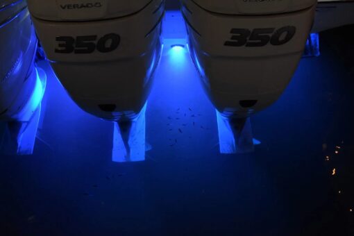 Lumitec 101246, SeaBlaze Mini Underwater LED Boat Lights - 700 Lumens, Marine Grade, Fishing, Dinghy, Skiff - Sold as a Pair - Made in the USA, Blue - Image 5