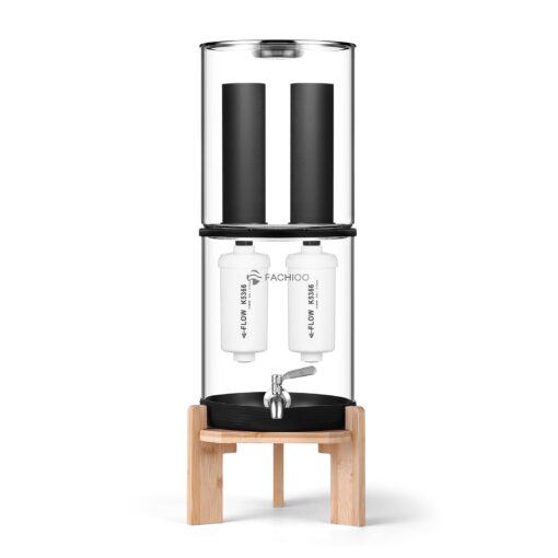 FACHIOO Glass Gravity-Fed Water Filter System, Countertop System with 2 Black NSF/ANSI 42 Certification Elements, 2 Fluoride, Metal Spigot and Stand, Reduces Fluoride and Chlorine, 2.25G