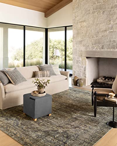 Loloi Amber Lewis Morgan 8'-3" x 11'-3" Area Rug in Spice/Lagoon - Large Area Rug, Neutral Area Rug for Room Décor, Vintage Rug Inspired, Soft Area Rug for Living Room, Bedroom, Dining Area