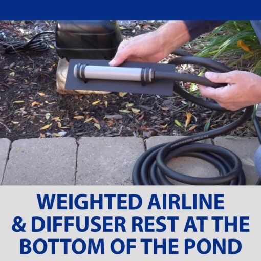 The Pond Guy Pond Aerator 1, Complete Aeration Kit, Water Garden Oxygenation Bubbler System Adds Oxygen to Koi & Fish Ponds, Outdoor Diaphragm Compressor Pump, Air Line & 1 Submersible Diffuser Stick - Image 3