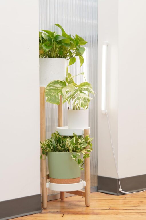 Soltech Solutions Grove™ LED Grow Light - Under-Cabinet/Shelving or Wall Mounted LED bar Light for Indoor houseplants and Herbs - Touch Control Power and dimming (White) - Image 2