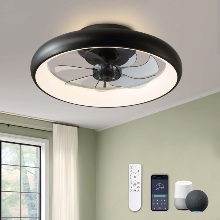 LUDOMIDE Modern Black 20" Flush Mount Ceiling Fan with Lights, 6 Wind Speeds, LED, Bedroom, Kitchen