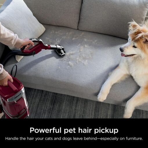Shark DETECT Lift-Away Corded Upright Vacuum with Detect Technology, Self-Cleaning Brushroll for No Hair Wrap, Anti-Allergen Complete Seal, and Odor Neutralizer Technology, Burgundy, LA492 - Image 8