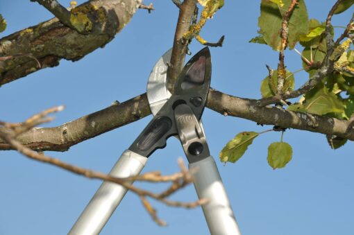 FELCO 231 - Image 2