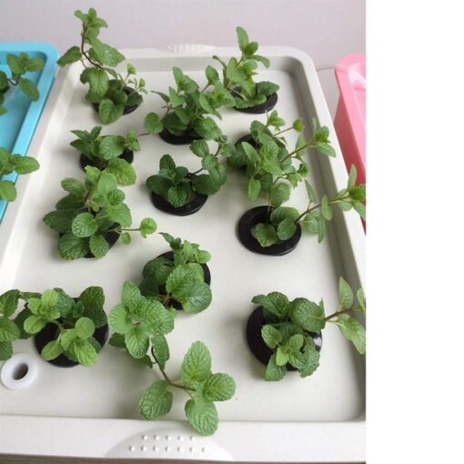 UGD8TQR Gardening Planting Tools 1 Set Plant Site Hydroponic System 24 Holes Indoor Garden Cabinet Box Soilless Seedling Grow Kit Bubble Planters Nursery Pots (Color : Blue) (Green) - Image 2