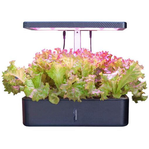 ROCILB 12 Pots Hydroponics Growing System, Indoor Herb Garden Starter Kit, Soilless Cultivation Plant Germination Kits, Grow Light for Home Gardening Vegetables