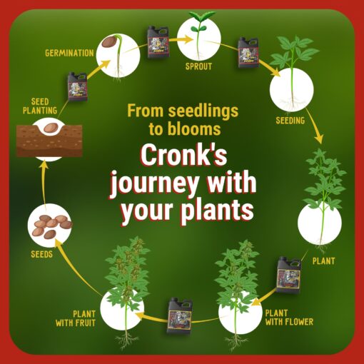 Cronk Nutrients Bonnie & Clyde Autoflower Nutrients Bloom and Grow – Yield Increasing Autoflower Plants Nutrient Kit – Easy to Use Plant Food – Optimal Formula for Optimal Results, 4L - Image 5