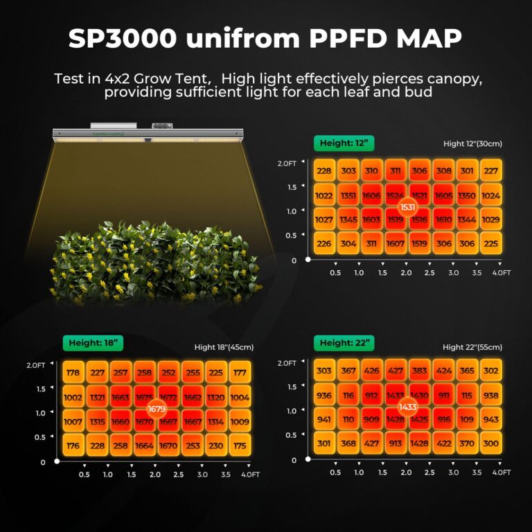 MARS HYDRO 2025 Upgrade SP3000 2x4 Grow Lights for Indoor Plants,Full Spectrum,Dimmable,Energy Efficient,Daisy Chain Light Commercial Vertical Farming for Seedling Veg and Bloom in 4x2 Grow Tent - Image 7