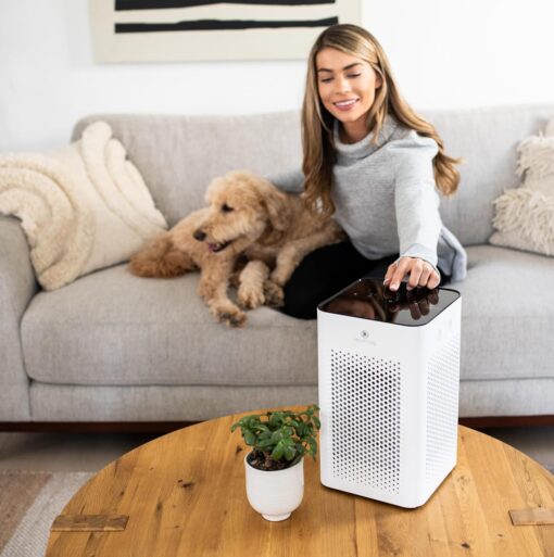 Medify MA-25 Air Purifier with True HEPA H13 Filter | 825 ft² Coverage in 1hr for Allergens, Smoke, Wildfires, Odors, Pollen, Pet Dander | Removal to 0.1 Microns | White, 1-Pack - Image 3