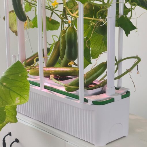 E SUPEREGROW Large Hydroponics Growing System kit with Trellis,Smart Indoor Hydroponic Gardening System with LED Grow Light, Indoor Hydroponic Grow Kit for Tomato,Pepper,Cucumbers(7L,Pump) - Image 2