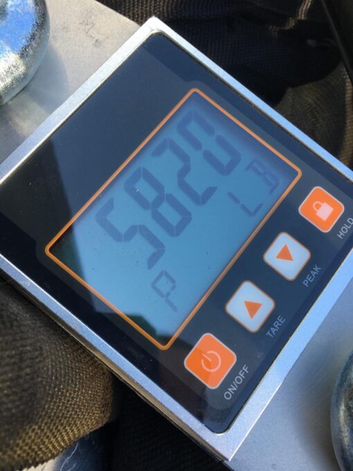 Mefape 3000kg/6600lbs Professional Digital Hanging Scale, Heavy Duty Industrial Crane Scale, Smart High Accuracy Electronic Scale with Shackle + LCD Display - Image 3