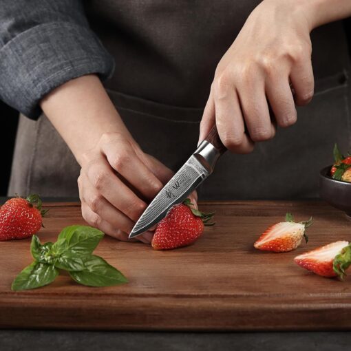 Wakoli Damascus Kitchen Knife Set, 4 Pieces Professional Chef Knife Set made from 67 Layers of Damascus Steel with VG10 Core, Knives Set for Kitchen with Pakkawood Handles in Gift Box (EDIB 4-pcs) - Image 4