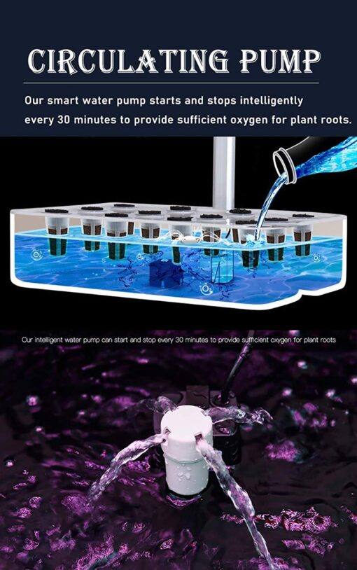 ROCILB 12 Pots Hydroponics Growing System, Indoor Herb Garden Starter Kit, Soilless Cultivation Plant Germination Kits, Grow Light for Home Gardening Vegetables - Image 4