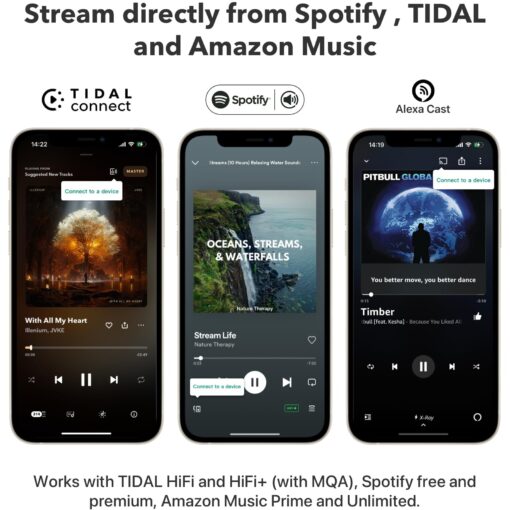 WiiM Pro Plus AirPlay 2 Receiver, Google Cast Audio, Multiroom Streamer with Premium AKM DAC, Voice Remote, Works with Alexa/Siri/Google, Stream Hi-Res Audio from Spotify, Amazon Music, Tidal and More - Image 6