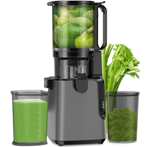 Cold Press Juicer, 6.1" Extra Large Feed Chute Juicer Machines for Whole Vegetables and Fruits, 350W Slow Masticating Juicer Machines Easy to Clean, High Juice Yield (Titanium Gray)