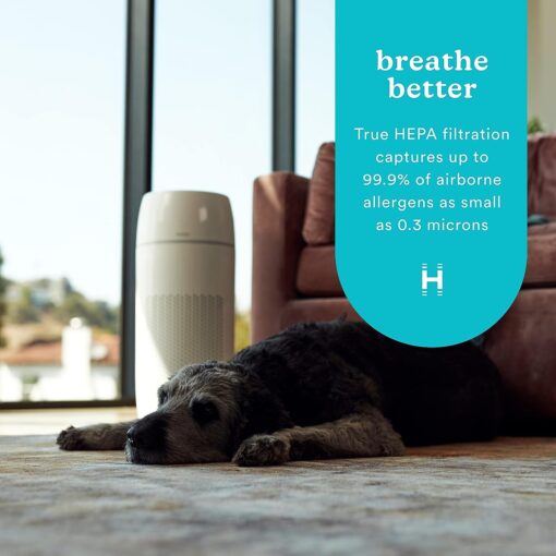 Homedics 5-in-1 PetPlus UV-C Air Purifier - 360-Degree HEPA Filter for 266 Sq Ft, Air Purifiers for Pets, Bedroom, and Home with Essential Oil Pads and Built-In Timer, 3 Speed Settings, White - Image 2