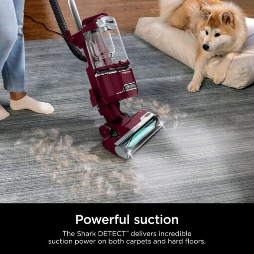 Shark DETECT Lift-Away Corded Upright Vacuum with Detect Technology, Self-Cleaning Brushroll for No Hair Wrap, Anti-Allergen Complete Seal, and Odor Neutralizer Technology, Burgundy, LA492 - Image 13