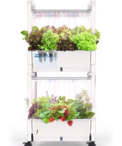 Hydroponics Growing System,AOONEG 28 Pods Indoor Herb Garden with LED Grow Light,Hydroponics Growing System Kit with Automatic Timer,Pump System,Adjustable Height（No Seed） (White, 28 Pods)