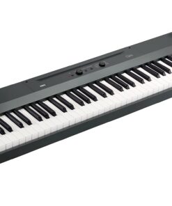 Korg Liano Portable 88-key Digital Piano w/ Semi-Weighted Keys, Bass Reflex Speakers and includes a Sustain Pedal & Power Adapter - Gray