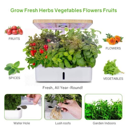 ROCILB Hydroponics Growing System, Indoor Herb Garden Starter Kit with Grow Light, Plant Germination Kits 12 Plant Pots for Home Kitchen Gardening - Image 2