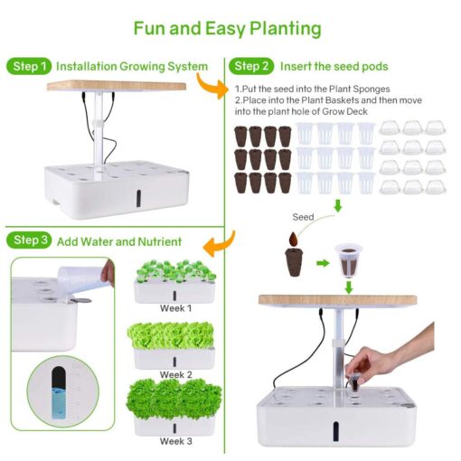ROCILB Hydroponics Growing System, Indoor Herb Garden Starter Kit with Grow Light, Plant Germination Kits 12 Plant Pots for Home Kitchen Gardening - Image 3