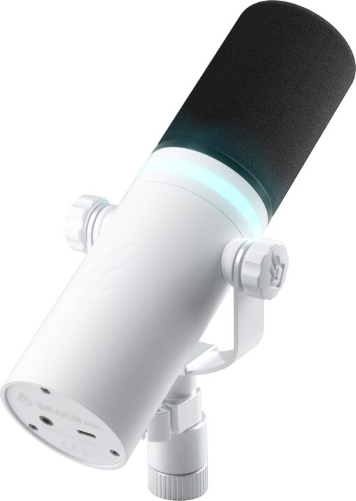 BEACN Light Dynamic USB Microphone for PC | Professional Mic for Podcast, Gaming, Streaming | Studio-Quality Desk Mic for YouTube, Twitch, and Recording