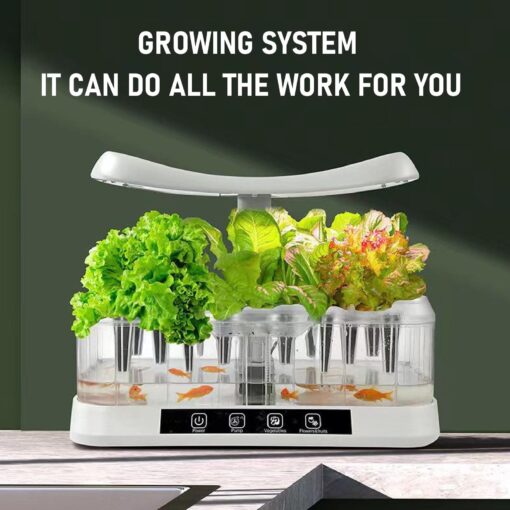 waenhasd Hydroponics Growing System, Hydroponics Growing System 12 Pods Indoor Gardening System with LED Grow Light Plants Germination Kit Ideal Gardening Gifts for Women /699, US Plug, Transparent - Image 9