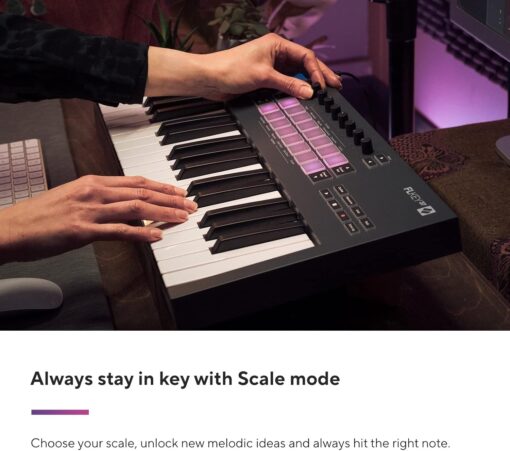 Novation FLkey 37 MIDI Keyboard - Seamless FL Studio Integration with Chord Mode and Scale Mode. All the software you need for Music Production - Image 3