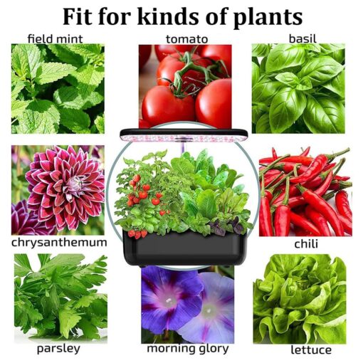 QAZWSXED Hydroponics Growing System, 12 Pods Indoor Herb Garden with Grow Light, Smart Garden Germination Kit, Automatic Timer & Height Adjustable, for Home Kitchen Gardening White - Image 5
