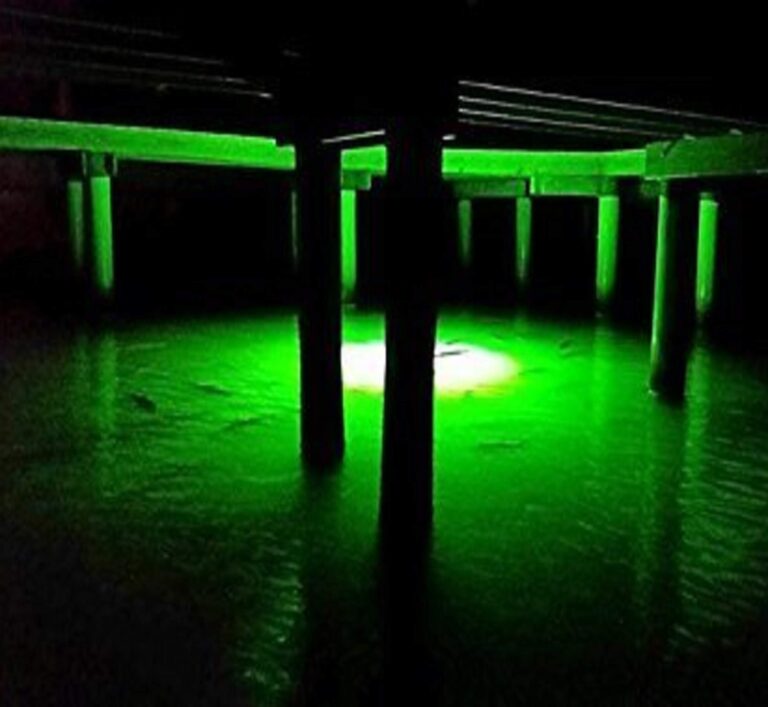 Green Blob Outdoors Underwater Fishing Lights, American Made, Docks and Boats, Brightest Fish Attractor for Snook, Bass, Crappie, Striper, Bait, Catfish and More (Green, 110V 15000 30ft) - Image 7