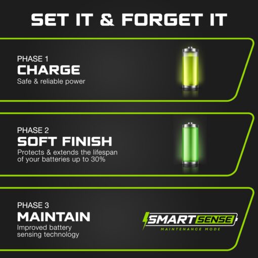 FORM 48 Volt Golf Cart Battery Charger for Club Car Precedent & DS Golf Carts - 48V 15 AMP Lithium, LiFePO4, Lead Acid - Elite Version - Image 6