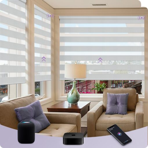 Graywind HomeKit Smart Zebra Blinds Eve Powered Siri Voice Home App Rechargeable Motorized Dual Layer Blinds Privacy Light Control, Custom Size (Luxury Silver White)