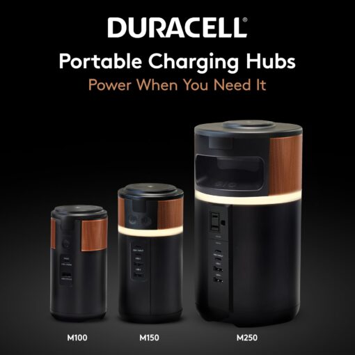 M250 Power Station, Lightweight and Compact, Wireless Charging, Portable Charging Hub and Charger for Laptops, Phones, Tablets, Earbuds and Smartwatches, 250W (219 Wh) Dock Included - Image 2