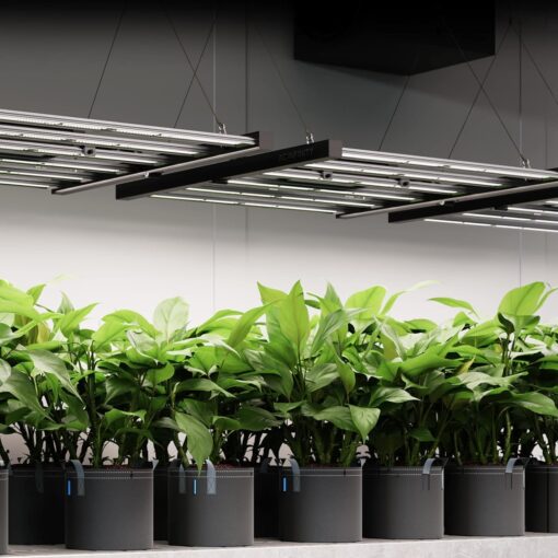 AC Infinity IONFRAME EVO3, Samsung LM301H EVO Bar LED Grow Light 2x4, 840 Diodes, with Schedule Controller, 280W Full-Spectrum Commercial Plant Lights for Indoor Growing in Grow Rooms & Greenhouses - Image 2