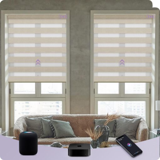 Graywind HomeKit Smart Zebra Blinds Eve Powered Siri Voice Home App Rechargeable Motorized Dual Layer Blinds Privacy Light Control, Custom Size (Coffee)