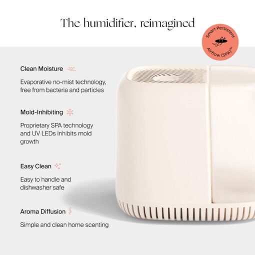 Canopy Bedside Humidifier, White Humidifier, 36 HR Run Time, 2.5L Capacity - Help Alleviate Symptoms of Allergies, Flu, Cold, Dry Skin Includes Humidifier, Unwind Aroma, Filter, Power Cord & Adapter - Image 6