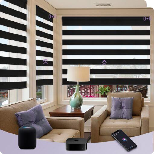 Graywind HomeKit Smart Zebra Blinds Eve Powered Siri Voice Home App Rechargeable Motorized Dual Layer Blinds Privacy Light Control, Custom Size (Luxury Black)