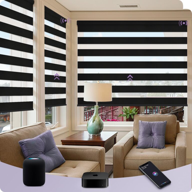 Graywind HomeKit Smart Zebra Blinds Eve Powered Siri Voice Home App Rechargeable Motorized Dual Layer Blinds Privacy Light Control, Custom Size (Luxury Black)