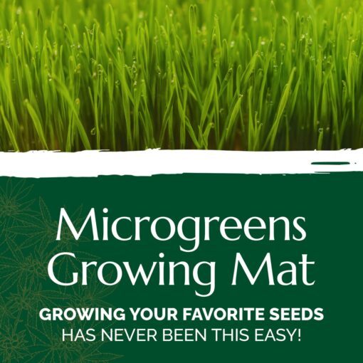 Chanvra Grow Microgreens Growing Mat, Natural Hemp Mats for Growing Sprouting Kits, Hydroponic Hemp Pads, Hemp Grow Mat for Wheatgrass, Sunflower & More, Microgreen Mat, 10x20" (100) - Image 7