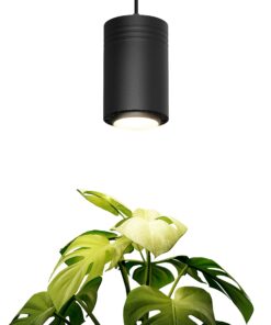 Aspect World's First Decor Grow Light - Black Luxury LED Grow Light For Medium and Large Plants