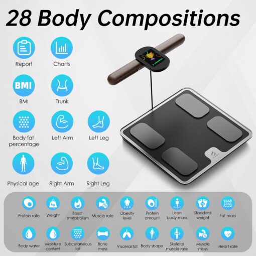 CLORIS 8 Electrodes Digital Smart Scale for Body Weight Fat Accurate BMI Muscle Mass 28 Body Composition Measurement Health Analyzer with App Bluetooth, Full-Color TFT LCD on Retractable Handle - Image 7