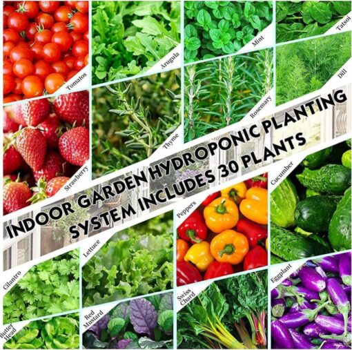 CBLdF Hydroponics Growing System,Indoor hydroponic Grow Vertical Tower, Garden Tower Growing Kit, for Indoor Gardening, Grow Herbs, Fruits, Vegetables, Gift for Gardening Lover-30holes - Image 3