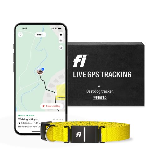 Fi Series 3 Smart Dog Collar - GPS Dog Tracker and Activity & Health Monitor, Waterproof, LED Light, Escape Alerts, Nationwide Coverage [Free 1 Year Membership] (Yellow, Medium)